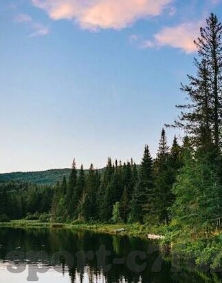 中国体彩足球比分直播-中国体彩足球比分直播，一场全民参与的足球盛宴与理性购彩指南